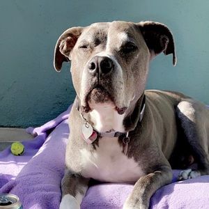 Meet your Posher, Becca